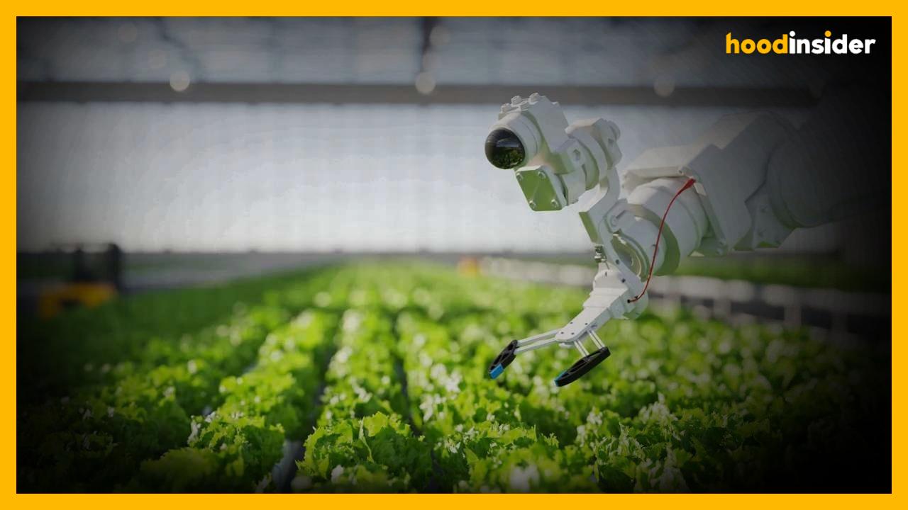 India’s Agritech Sector Shifts Focus to Profitability as Funding Revives