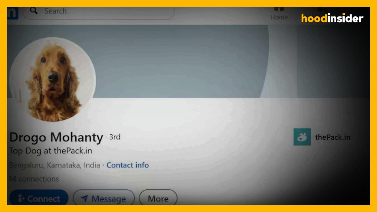 Bengaluru Entrepreneur’s Dog Becomes LinkedIn Sensation After Viral Shadow-Ban Joke