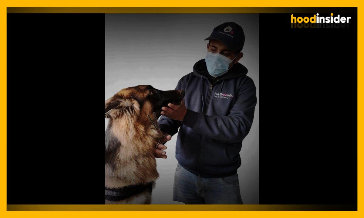 Pet Groomly: Top Choice for Professional At-Home Pet Grooming